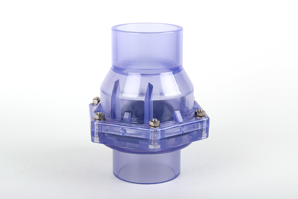 宁安透明翻板式止回阀